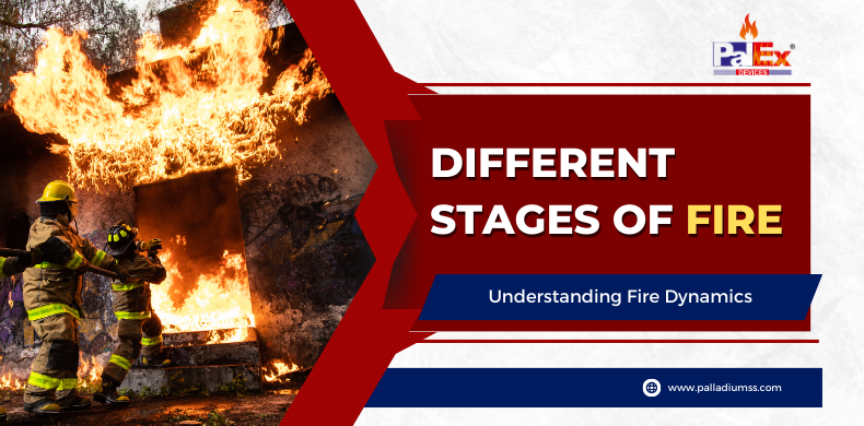 diffrent stages of fire